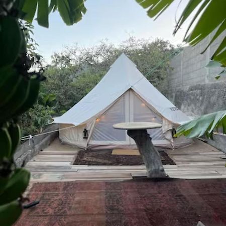 Yurt In Avocado Garden Hotel Guimar Exterior photo
