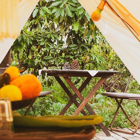 Yurt In Avocado Garden Hotel Guimar Exterior photo