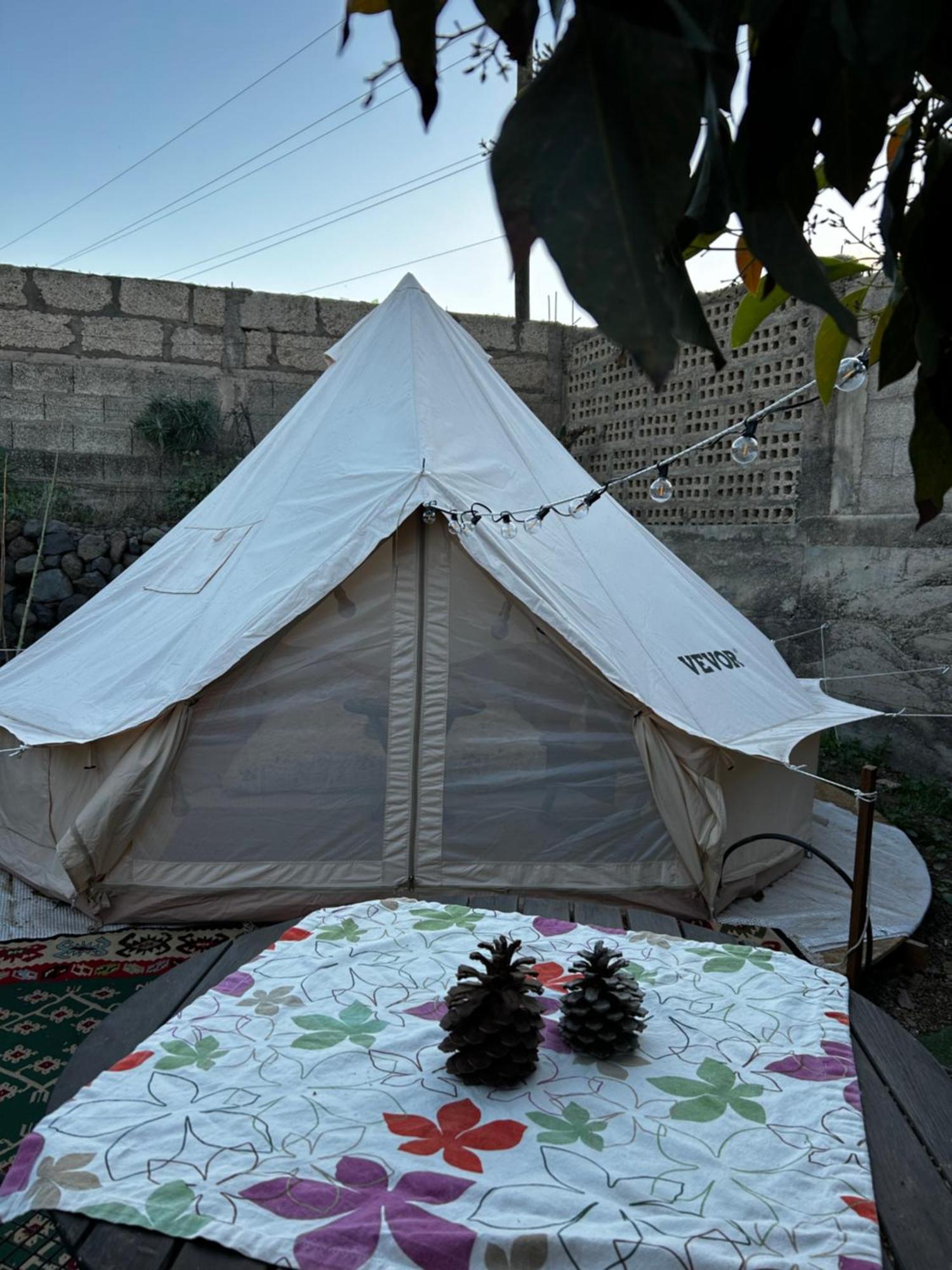 Yurt In Avocado Garden Hotel Guimar Exterior photo