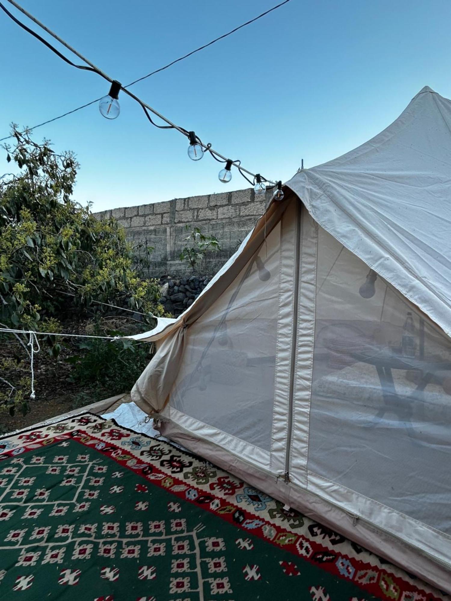 Yurt In Avocado Garden Hotel Guimar Exterior photo