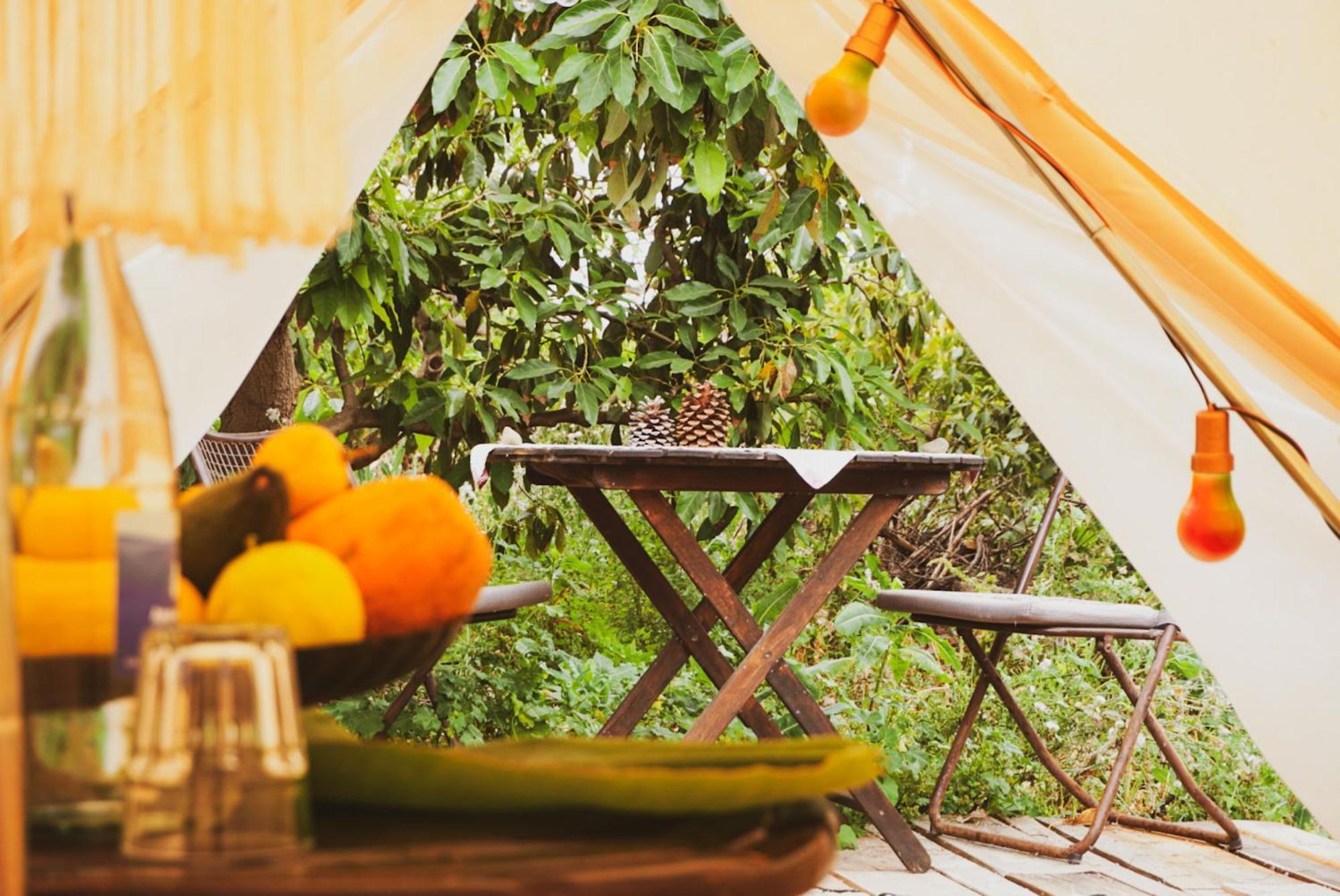 Yurt In Avocado Garden Hotel Guimar Exterior photo
